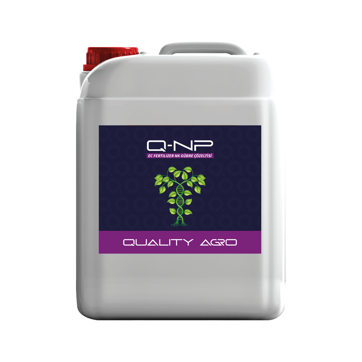 Q-Np