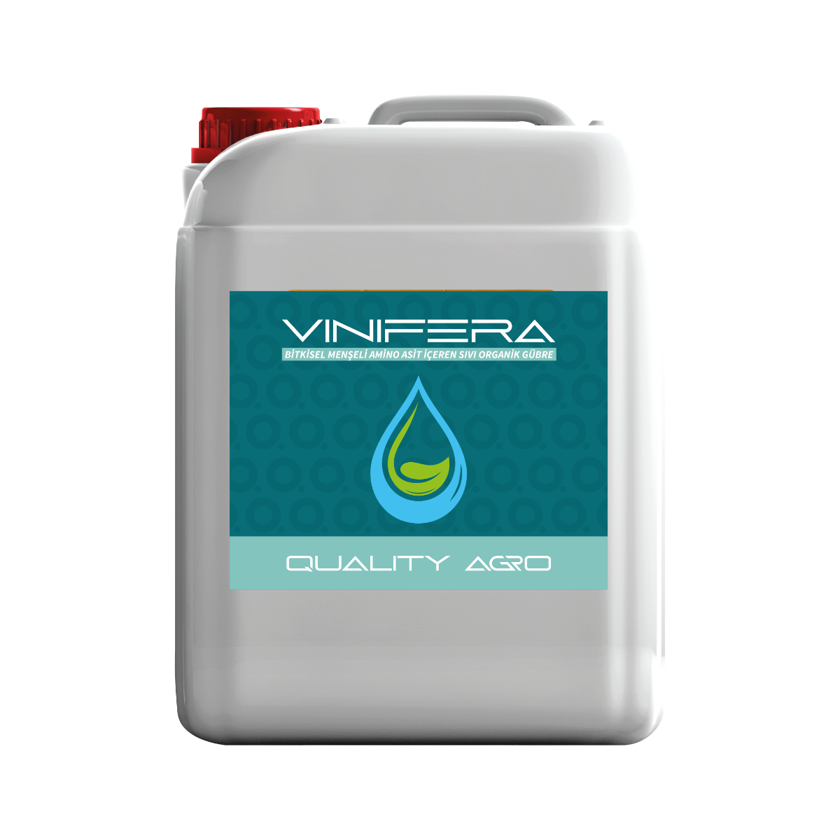 Vinifera