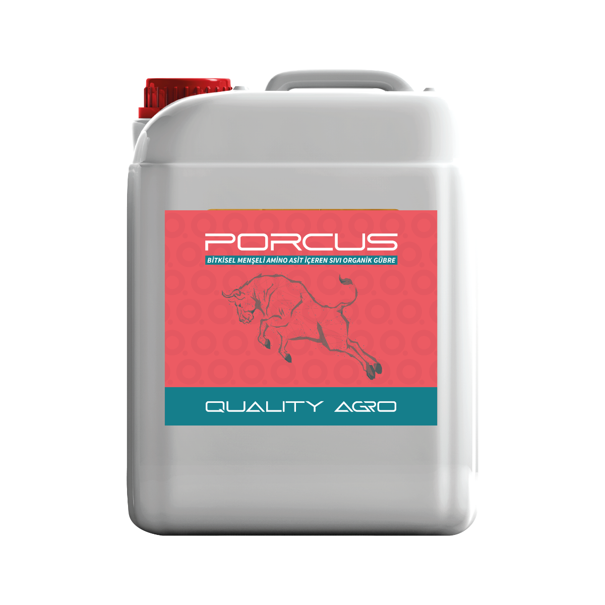 Porcus